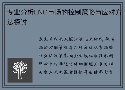 专业分析LNG市场的控制策略与应对方法探讨